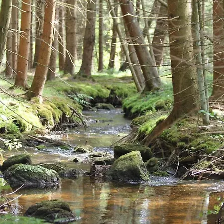 Landsted Ellerbeck Langdorf (Regen)