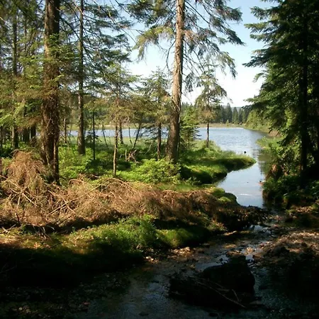 Ellerbeck Летний дом Langdorf (Regen)